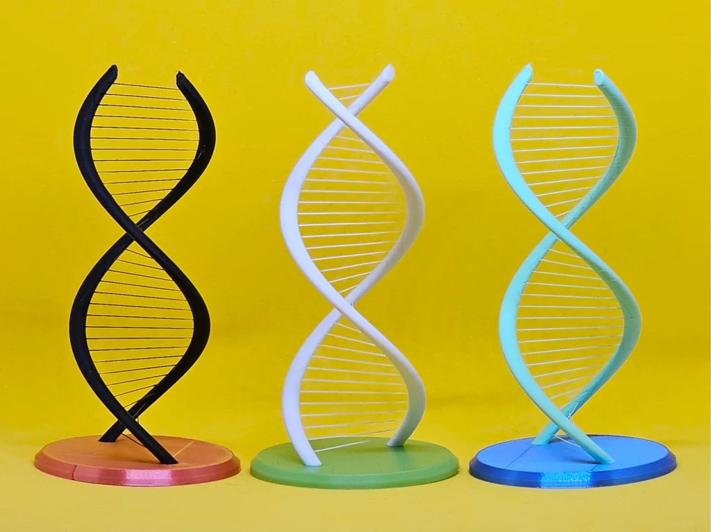 Modelo de DNA impresso em 3D com serviço de impressão 3d online na Atlas 3D